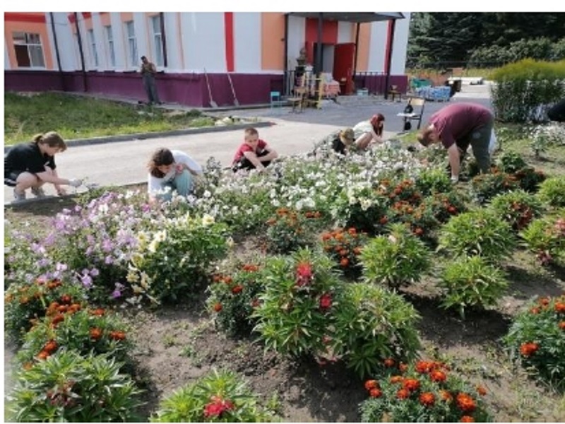 Укажите подпись к картинке.